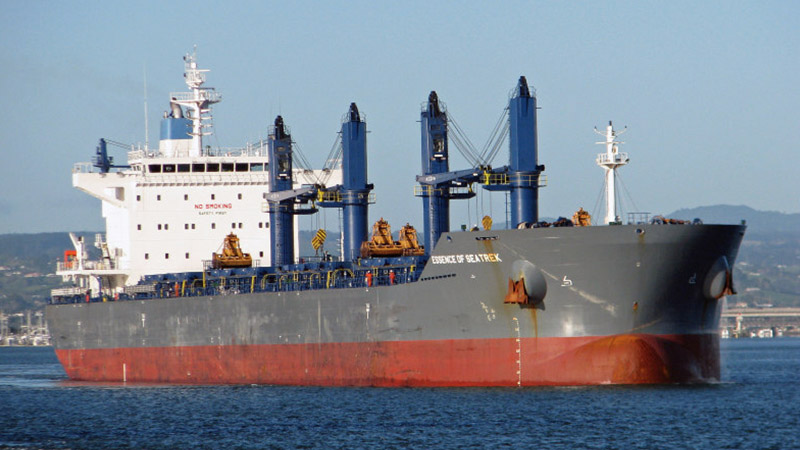 Essence of Seatrek bulk carrier